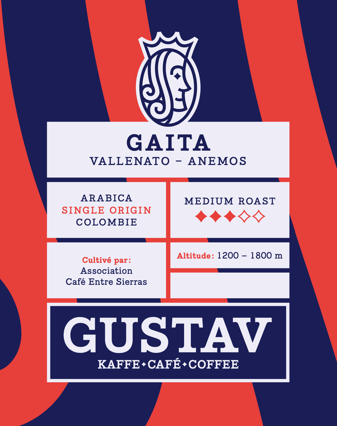 GAITA - Vallenato - Anemos